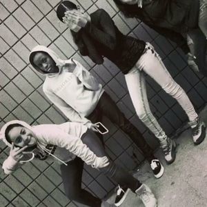 Meet your Posher, Lilly